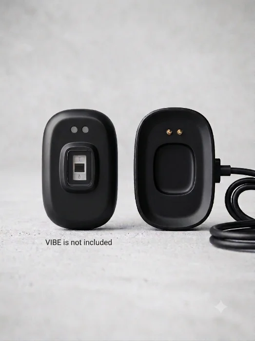VIBE Charger product photo